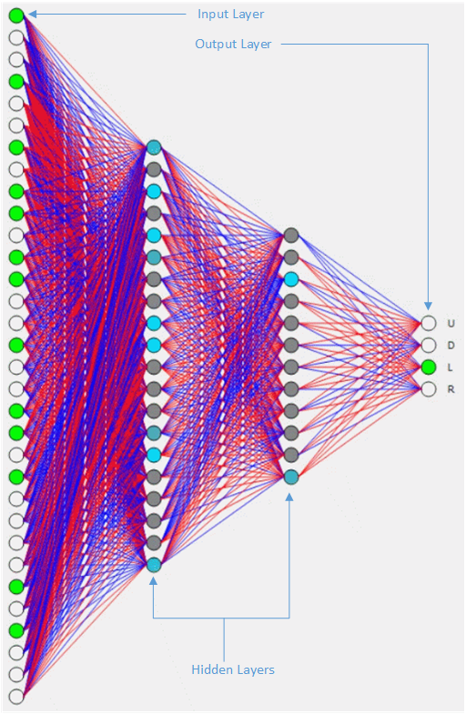 SnakeAI neural network visualization